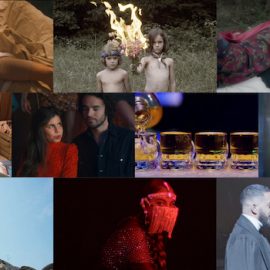 Sélection concours vidéo 2020 - Janvier